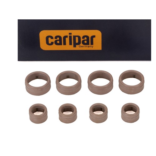 Caripar dichtringsatz - caripar,